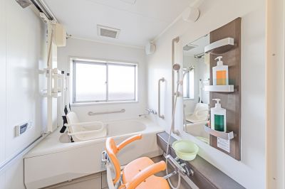 Bathroom Accessibility Remodeling detail