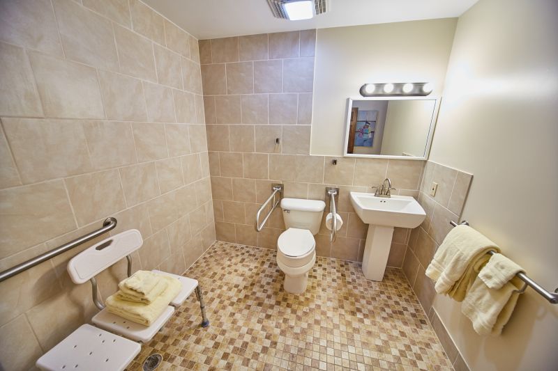 Bathroom Accessibility Remodeling detail